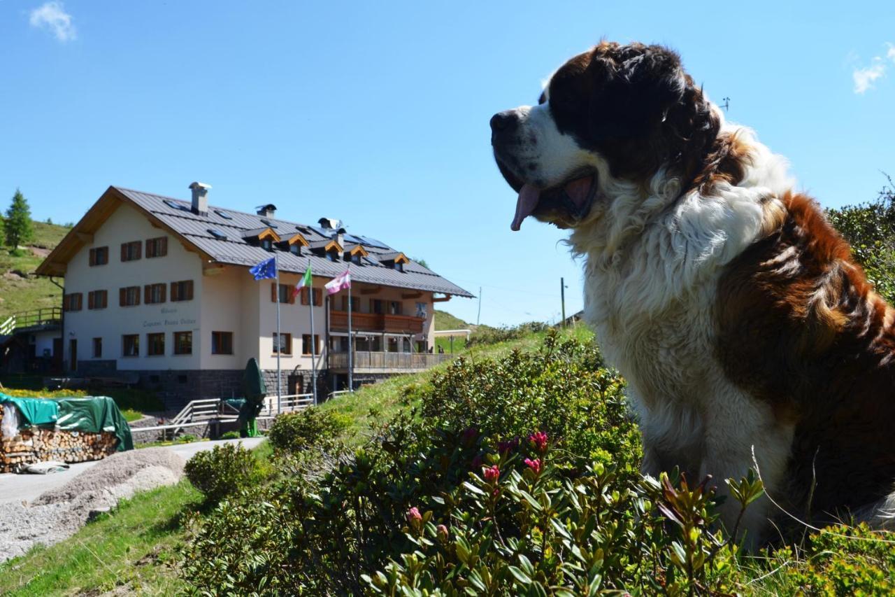 Rifugio Capanna Passo Valles ฟัลกาเด ภายนอก รูปภาพ