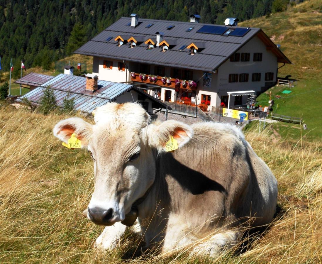 Rifugio Capanna Passo Valles ฟัลกาเด ภายนอก รูปภาพ